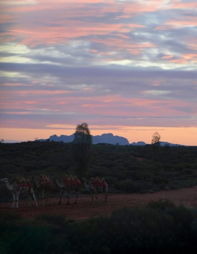 photographie de paysage et de voyage - Australie - Red Center - Centre Rouge - Cocuher de soleil sur Kata Tjuta