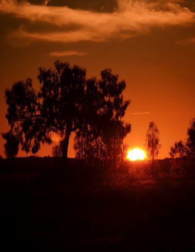 photographie de paysage et de voyage - Australie - Red Center - Centre Rouge - Lever de soleil à Uluru