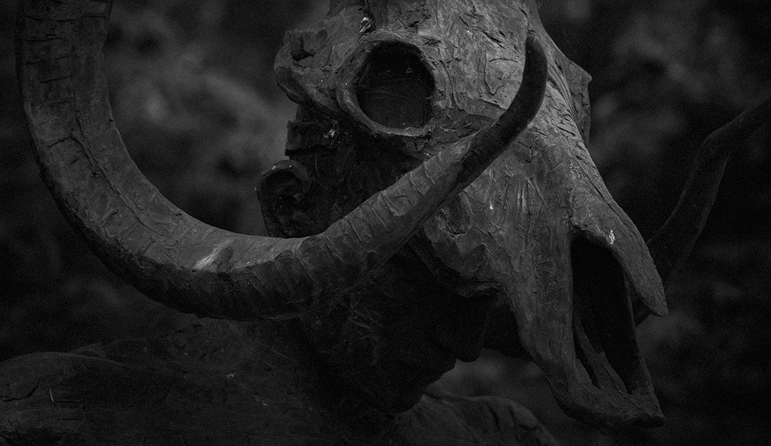 Photographie horreur : les meilleurs photographes horrifiques et idées pour Halloween