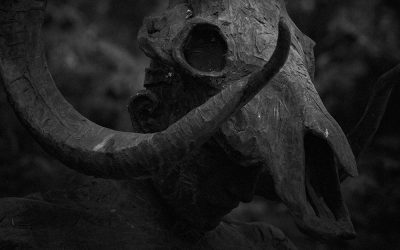 Photographie horreur : les meilleurs photographes horrifiques et idées pour Halloween