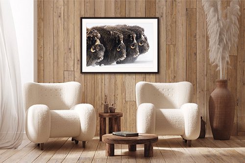 Tirage Photo - idée cadeau pour photographe Noël 2025